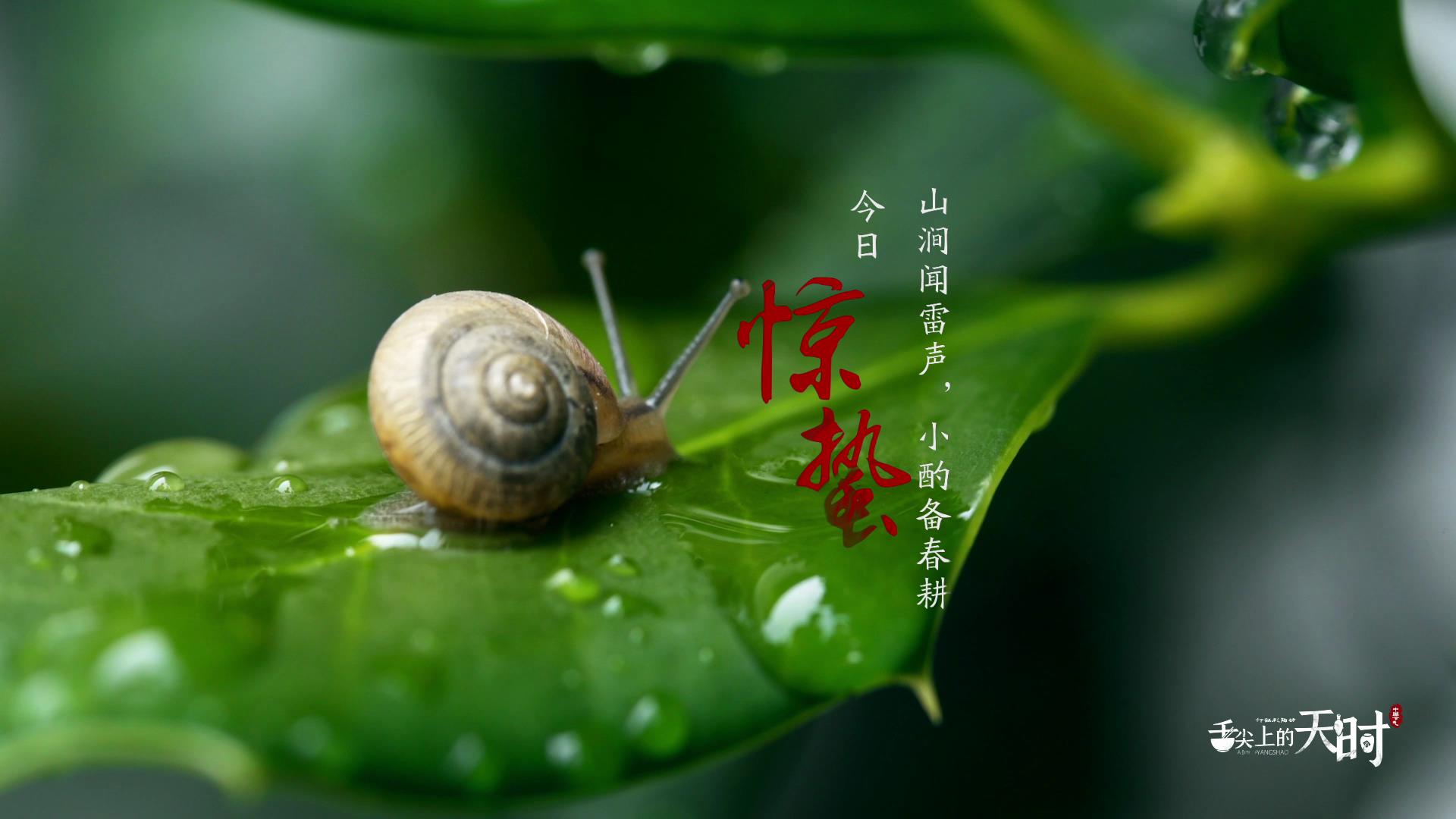 &#20048;&#40060;&#23448;&#26041;&#31471;&#32593;&#31449;&#30331;&#24405;&#20837;&#21475;&#45;&#20048;&#40060;&#108;&#101;&#121;&#117;&#40;&#20013;&#22269;&#41;